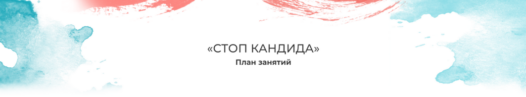 Мария Волкова Стоп кандида 2023 слив курса