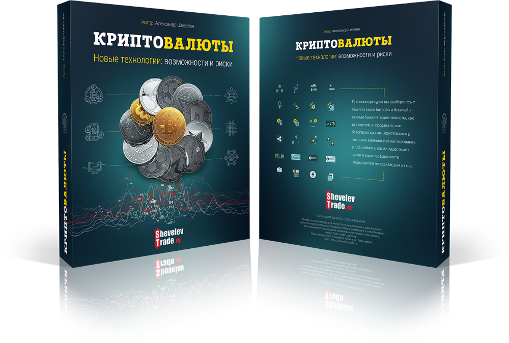 Александр Шевелев КРИПТОВАЛЮТЫ. Новые технологии: возможности и риски слив курса