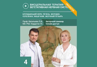 Людмила Васильева, Глеб Кирдогло Биодинамика блуждающего нерва 2024 слив