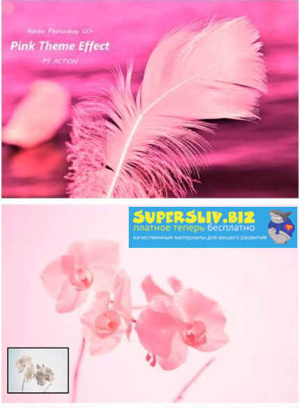 Graphicriver Pink Theme Effect Ps Action 2019 слив курса