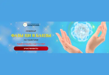 Светлана Мостовская Фазы Ци в БАЦЗЫ на практике 2025 слив