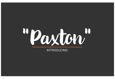 Creativefabrica Paxton Font слив