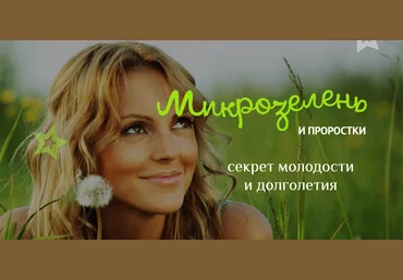 Елена Левицкая Микрозелень у вас дома: зеленые проростки для жизни и хорошего иммунитета 2020 скачать слив