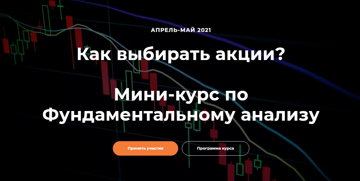 Светлана Шишкина Мини-курс по фундаментальному анализу 2021 слив курса