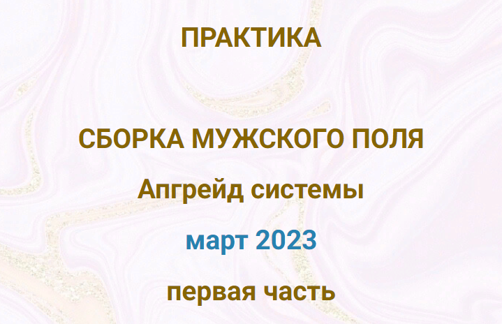 Эмилия Франк Практика «Сборка мужского поля. Апгрейд системы» 2023 слив курса