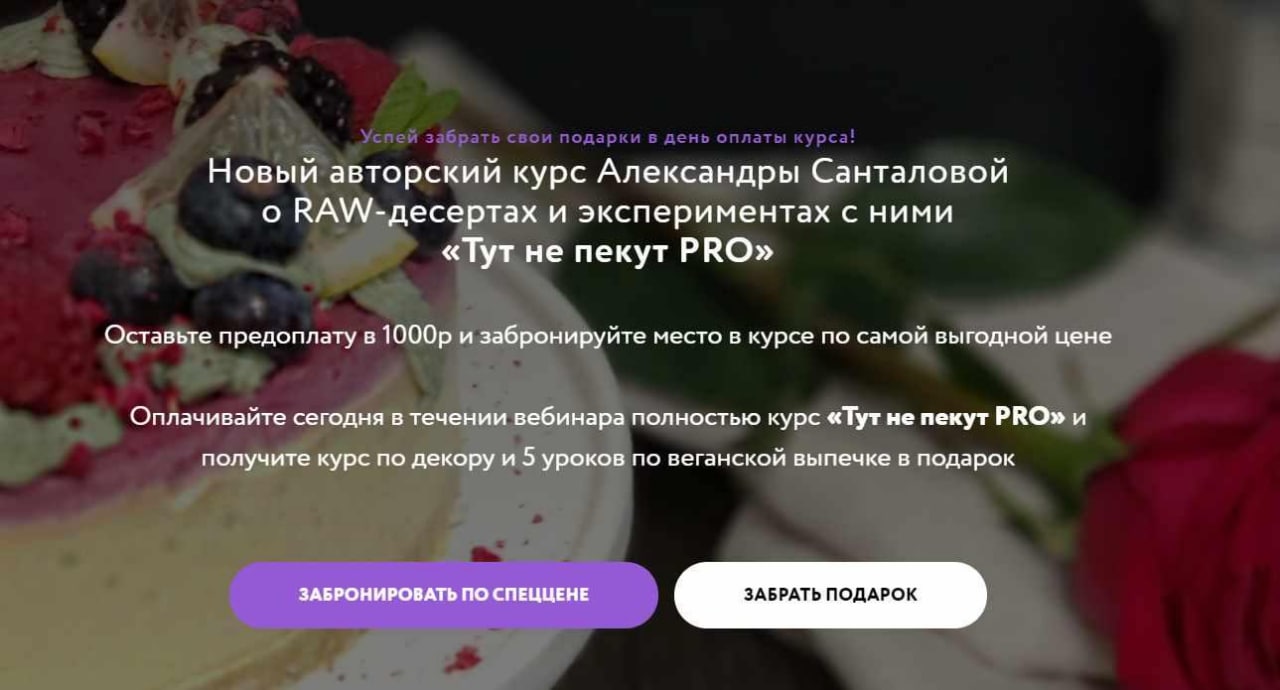 Александра Санталова Авторский курс RAW десертов «Тут не пекут PRO» слив курса