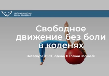 Елена Волкова Про колени. Свободное движение без боли в коленях 2022 скачать слив