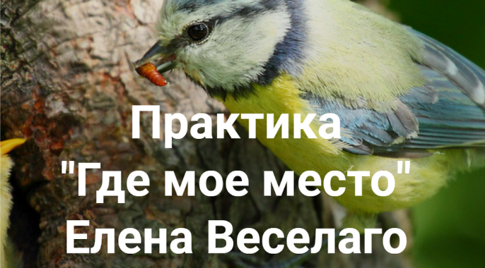 Елена Веселаго Практика «Где мое место» 2022 слив курса