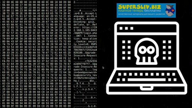 Udemy Полный этический взлом Bootcamp 2019 слив курса