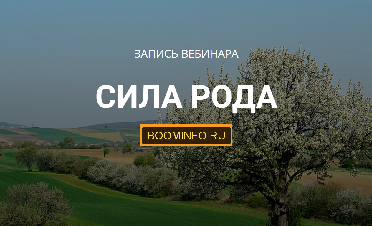 Максим Кислицин Сила Рода 2020 слив курса