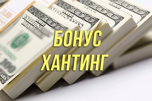 Бонусхантинг - Зюзин 2012 слив курса