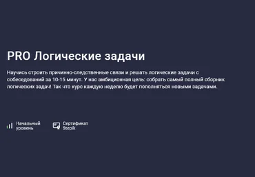 Иосиф Дзеранов, Александр Павлович Stepik PRO Логические задачи 2025 слив
