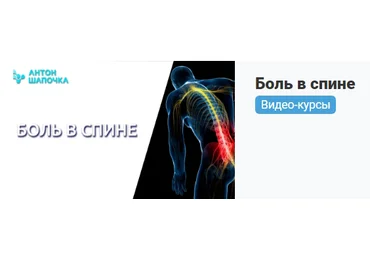 Антон Шапочка Боль в спине. Видео курс 2021 слив