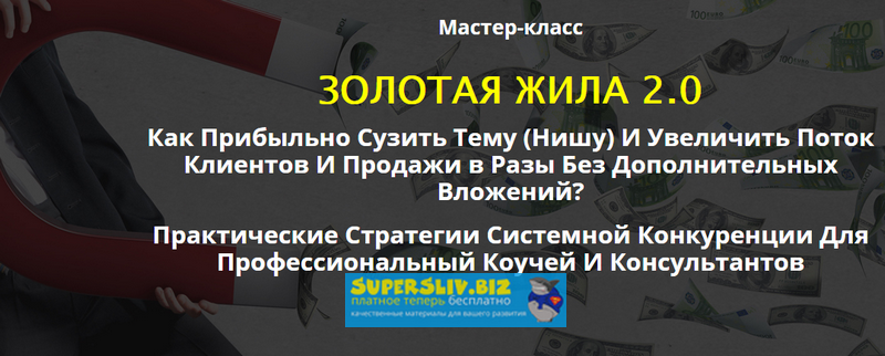 Сергей Загородников Золотая жила 2.0 слив курса