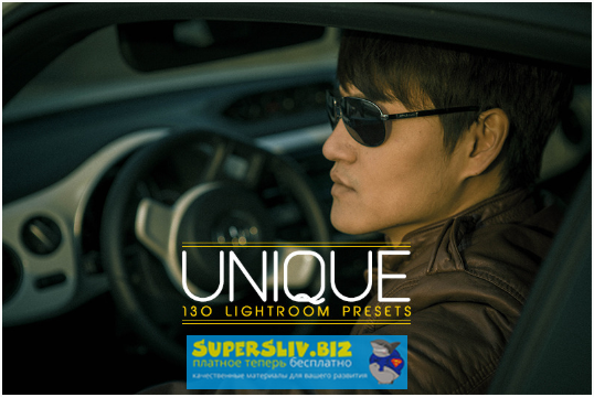 Thehungryjpeg 130 Unique Lightroom Presets 2019 слив курса