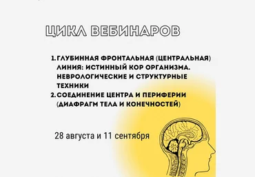 Александр Волоткевич Глубинная фронтальная линия: истинный КОР организма 2024 слив