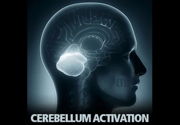 Активация мозжечка - Cerebellum Activation - IDOSER бинаурал слив