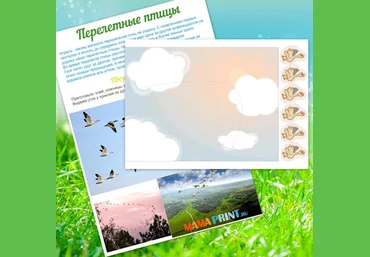 Mama-print Перелетные птицы слив