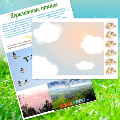 Mama-print Перелетные птицы слив курса