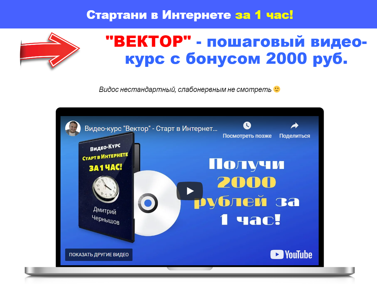 Дмитрий Чернышов «ВЕКТОР» - пошаговый видео-курс с бонусом 2000 руб 2019 слив курса