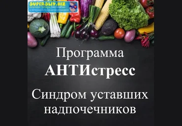 Виктория Суслова Программа Антистресс. Синдром уставших надпочечников 2019 слив