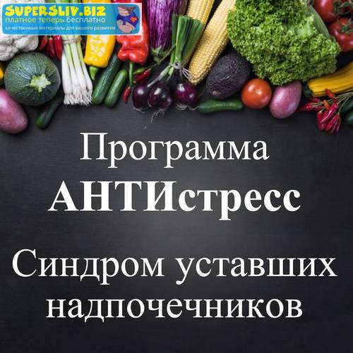 Виктория Суслова Программа Антистресс. Синдром уставших надпочечников 2019 слив курса