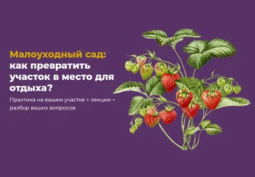 Школа Сада Мария Шашкова ― Малоуходный сад: как превратить участок в место для отдыха? 2025 скачать слив
