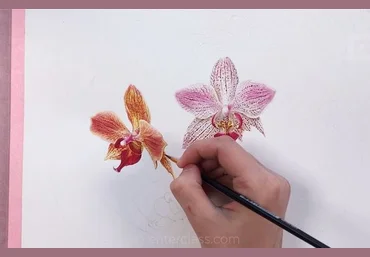 Орхидея. Ботаническая иллюстрация акварелью - Ширбидова 2018 слив