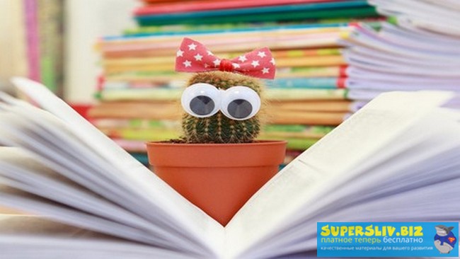 Udemy Pavel Shevchenko - Английский с 0-ля до профессионала. Звуки. Фонетика 2019 слив курса