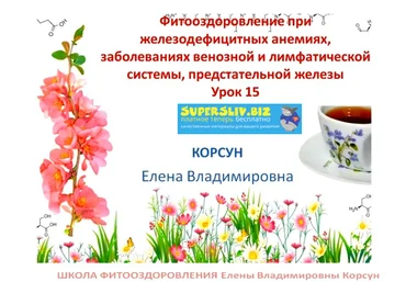 Елена Корсун Фитооздоровление при железодефицитных анемиях, заболеваниях венозной и лимфатической слив