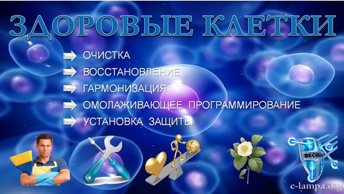 Здоровые клетки - Янгаев 2015 слив курса