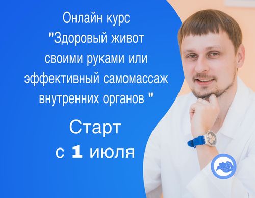 Александр Иванов Здоровый живот своими руками или эффективный самомассаж внутренних органов 2020 слив курса