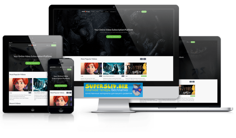 ViddoHub - Полная видео CMS слив курса