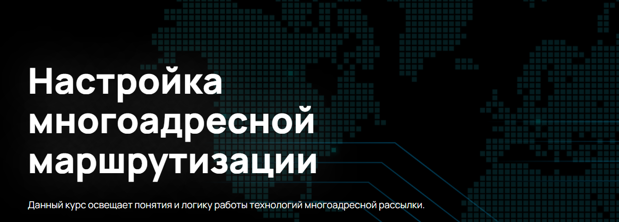 n4e.ru Алексей Гусев — Настройка многоадресной маршрутизации 2024 слив курса