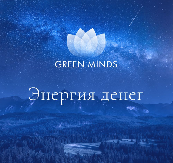 Алексей Ситников Нейромедитация Green Minds «Энергия денег» 2023 слив курса