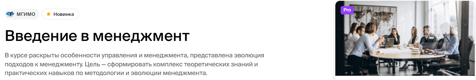 МГИМО Ленар Юнусов ― Введение в менеджмент 2024 слив курса