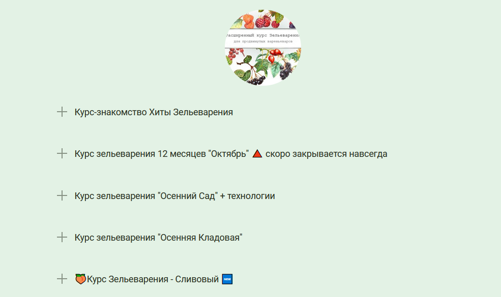 Ирина Таро dom_ulitki Курс Зельеварения - Сливовый. Новый! 2021 слив курса