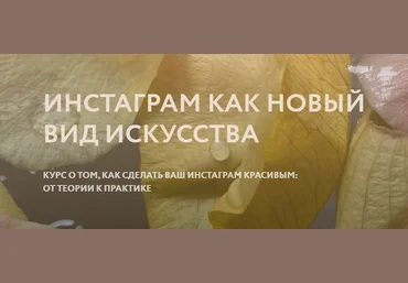 Polina Dzenis Инстаграм как новый вид искусства 2020 скачать слив
