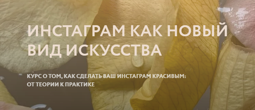 Polina Dzenis Инстаграм как новый вид искусства 2020 слив курса