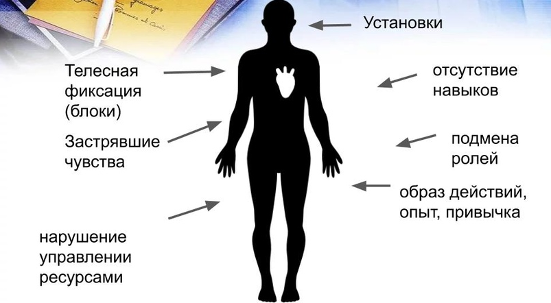 Мария Ковалева Метод Универсальных Трансформаций. 2021 слив курса