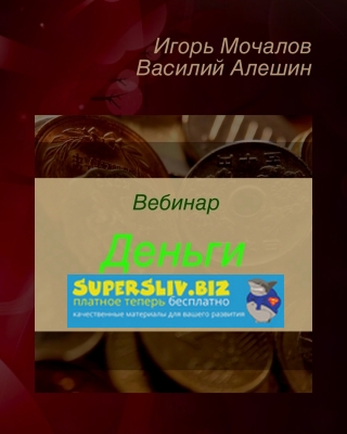Игорь Мочалов, Василий Алешин Вебинар «Деньги» 2019 слив курса