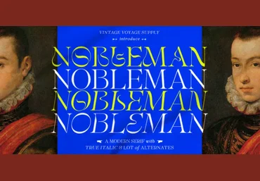 Myfonts VVS Nobleman Font 2021 скачать слив