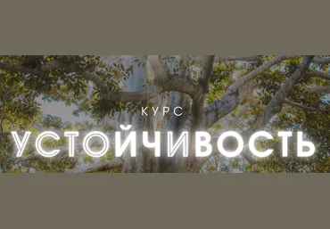 Александра Алексеева Устойчивость 2023 скачать слив