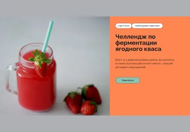 Мария Сочилкина Ferment in Wonderland Челлендж по ферментации ягодного кваса 2023 слив