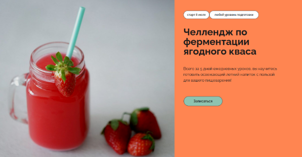 Мария Сочилкина Ferment in Wonderland Челлендж по ферментации ягодного кваса 2023 слив курса