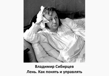 Владимир Сибирцев Лень. Как понять и управлять слив