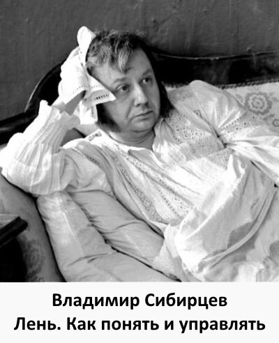 Владимир Сибирцев Лень. Как понять и управлять слив курса
