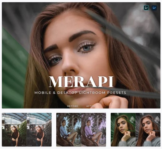 Elements.Envato Merapi Mobile and Desktop Lightroom Presets 2021 слив курса