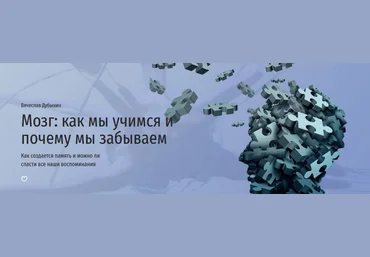 Вячеслав Дубынин Прямая речь Мозг: как мы учимся и почему мы забываем 2022 скачать слив