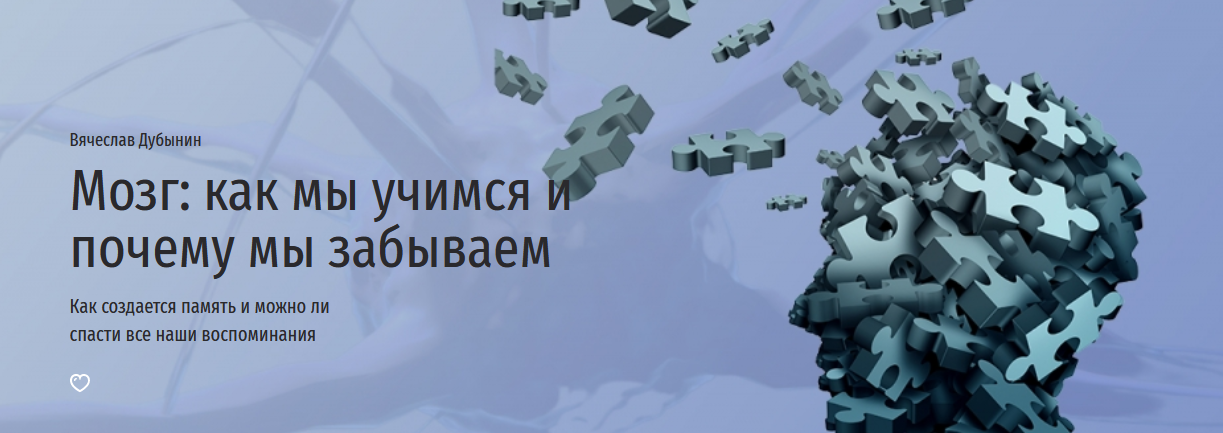 Вячеслав Дубынин Прямая речь Мозг: как мы учимся и почему мы забываем 2022 слив курса